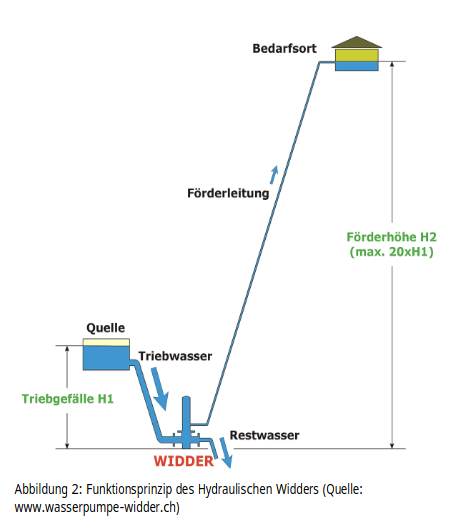 Schema fuer einen Widder