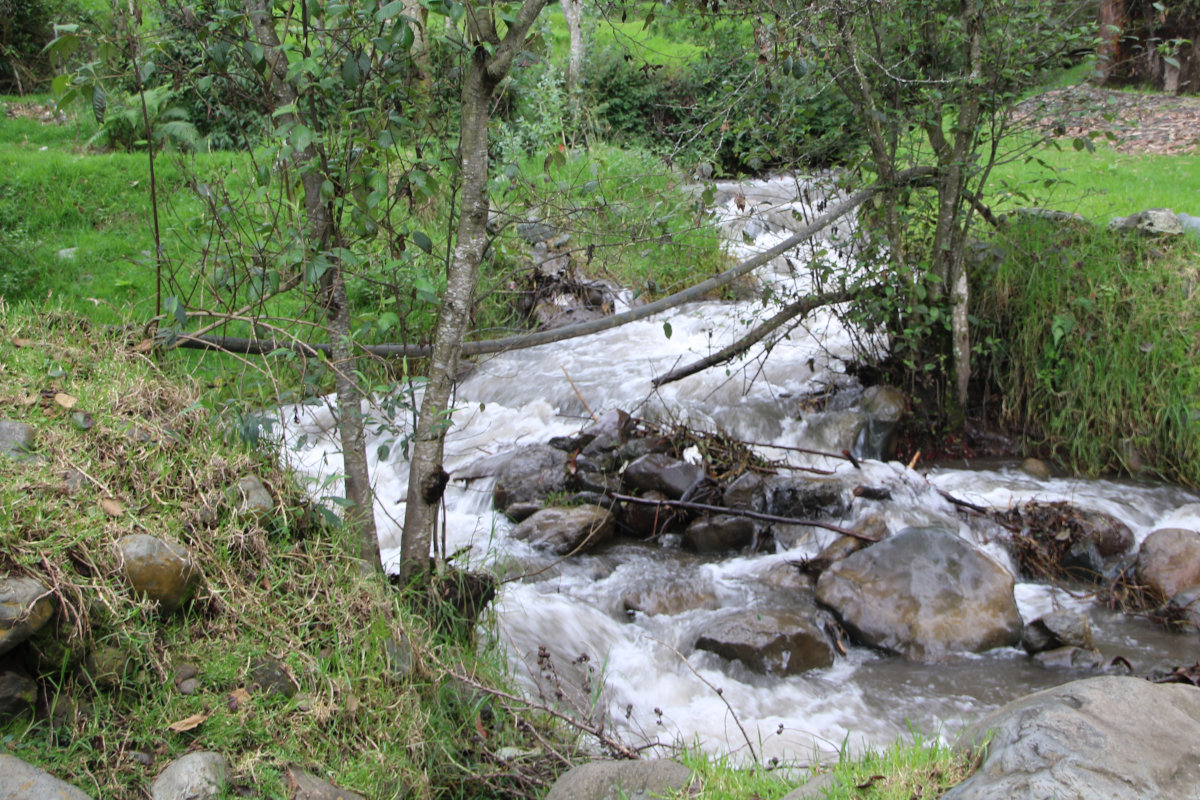 kann zur Bewässerung dienen